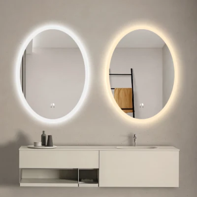 Illuminated Oval Mirror Wall Smart Bathroom Mirror Review Dimming LED Light